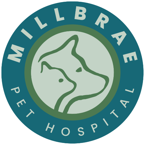 Millbrae Pet Hospital Logo